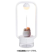 植物を飾るテーブルランプ TANIQUE（タニーク） 角形 EPGL001