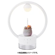 植物を飾るテーブルランプ TANIQUE（タニーク） 丸形 EPGL002