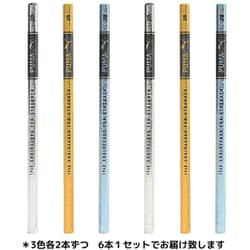 PUMA（プーマ） ホログラム2B鉛筆6本セット PM435