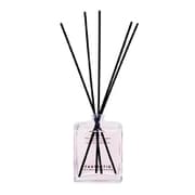 FTG0102 [ファンタスティッグ FANTASTIG Reed Diffuser HENCE.]