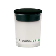 ファンタスティッグ FANTASTIG Fragrance Candle BEING. FTG0504