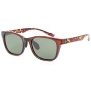ブービー ウェリントン サングラス Booby Wellington Sunglasses CH62-1869 B094 BR/D [スポーツサングラス]