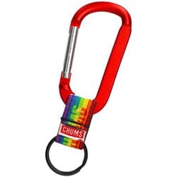 カラビナキーチェーン Carabiner Keychain CH61-1175 Z021 Rainbow [アウトドア フィールドギア アクセサリーカラビナ]