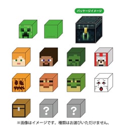 マインクラフトブロック消しゴム！シークレット＆スケルトンの2個