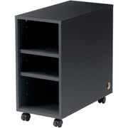 収納ボックス ブラック CP-050BK