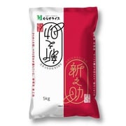 新潟県産 新之助 5kg 令和6年産