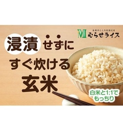 51ZB1SoxuvL._AC_UF1000,