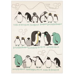 絶滅危惧種 バナナペーパーポストカード Penguin walk bp-pc-10061
