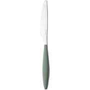 Guzzini テーブルナイフ Feeling (6P) ラグーングリーン 230003-214-CN