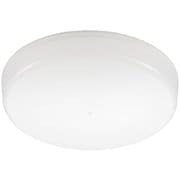 LEDミニシーリングライト 100形 1650ルーメン 昼光色 LE-Y13B-WD