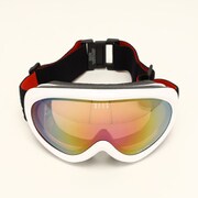 PEANUTS DNG-2353-2 SHWT(PK/PK/MI) [スキー スノーボード ゴーグル]