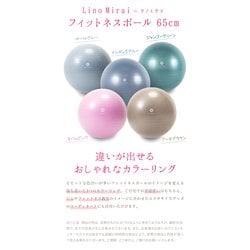 ヨドバシ.com - リノミライ Lino Mirai LMS91NH032NPK [バランスボール