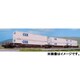 106-6185 Nゲージ 完成品 MAXI-IV BNSF Original Logo ＃253770 [鉄道模型]