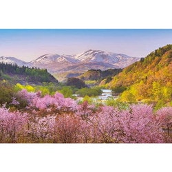 1000-910 日本旅行シリーズ 春茜 月山と大山桜 [ジグソーパズル 1000ピース]