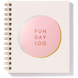 日記帳 FUN DAY 100 PINK GFUN-01