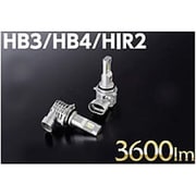 LEB02-HB4-60 [純正交換LEDヘッド＆フォグバルブ RCシリーズ HB3/4 HIR2 6000K 2個入り]