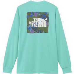 ロングスリーブTNFバグフリーティー L/S TNF Bug Free Tee NT12450 ガイザーアクア GA Sサイズ [アウトドア カットソー メンズ]