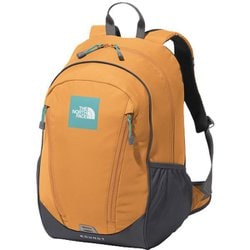 ヨドバシ.com - THE NORTH FACE ザ・ノース・フェイス