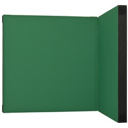 ヨドバシ.com - GRAPHT CvoNis / Separate Folio Panel （Green