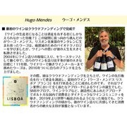 リスボア オレンジ 750ml ポルトガル/リスボア [オレンジワイン]