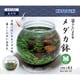 暮らしにメダカ メダカ鉢 M