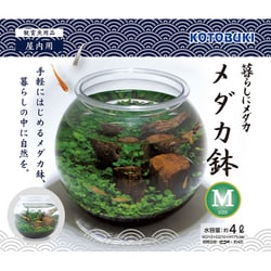 暮らしにメダカ メダカ鉢 M