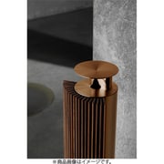 ワイヤレス スピーカー Beolab 18 Brass Tone(カスタムカラー)