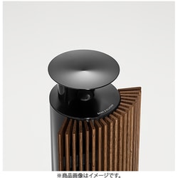 ワイヤレス スピーカー Beolab 18 Piano Black（カスタムカラー）
