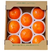 福岡県朝倉 富有柿（秀品） 2.5kg（9玉～12玉）