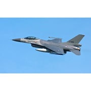 03802 1/32 F-16 ファイティング ファルコン 50周年記念 [組立式プラスチックモデル]