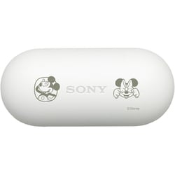 イヤホン SONY WF-1000XM4 Disney TwistedWonderland ソニーストア限定のオリジナルモデル『ディズニー ツイステッド