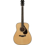 FG9 M NATURAL [アコースティックギター]