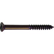 10183331 [HP ミニビス ブロンズ 2×30 12本入]