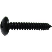 10183874 [HP 黒タッピング トラス 3×10 12本入]