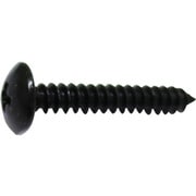 10185596 [HP 黒タッピング トラス 3×25 10本入]