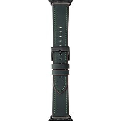 LN-AW41B32GR [Apple Watch 38/40/41mm バンド（Series 10/42mm対応） 「CORVIN」 ベーシックレザーバンド グリーン]