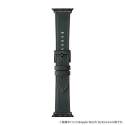 LN-AW49B16GR [Apple Watch 42/44/45/49mm バンド（Series 10/46mm対応） 「CORVIN」 ベーシックレザーバンド グリーン]