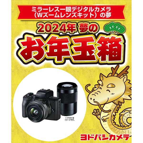 [新春セール] ヨドバシ福袋/福箱　一眼レフデジタルカメラ(レンズキット)の夢