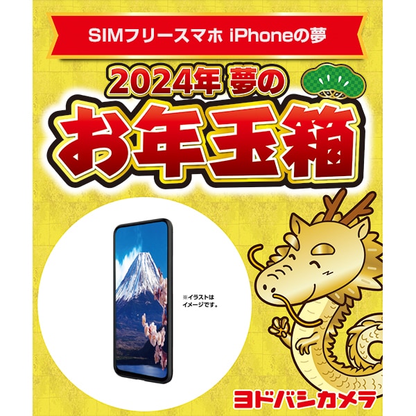 ヨドバシカメラ夢のお年玉箱 SIMフリーiPhoneの夢 iPhone12Pro 