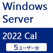 Windows Server 2022用CAL 5ユーザー 受注生産品 APS-WS22UCAL5
