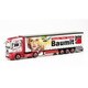HE316668 1/87 MAN TGX GX カーテンキャンバス セミトレーラー TLP/baumit [ミニカー完成品]