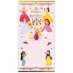 祝儀封筒 ディズニー 誕生日プリンセス EME-832-063