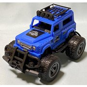 PICK UP ROAD BL BUG
