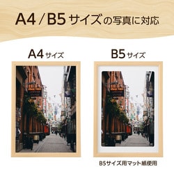 ヨドバシ.com - ハクバ HAKUBA 木製額縁 ピクスリアプラス A4/B5
