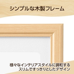 ヨドバシ.com - ハクバ HAKUBA 木製額縁 ピクスリアプラス A3/B4