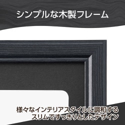 ヨドバシ.com - ハクバ HAKUBA 木製額縁 ピクスリアプラス A3/B4