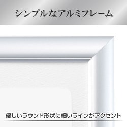 ハクバ 額縁 アルミ 額 ペオリア A3 サイズ シルバー FAPE-SVA3 ヨドバシ.com - ハクバ HAKUBA アルミ額縁 ペオリアプラス A3/B4