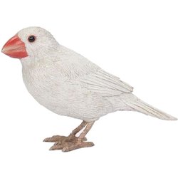 H15113-1 [白い文鳥]