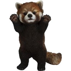 H23226 [レッサーパンダ手をあげる]