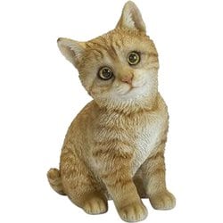 H23007 [首をかしげる茶トラ猫]